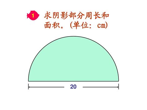 第一单元圆的周长与面积图形计算（专项突破） 小学数学六年级上册北师大版（含答案）_21世纪教育网-二一教育
