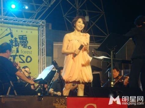 李翊君开唱台北露天音乐会 流行与古典完美结合 - 音乐 - 明星网