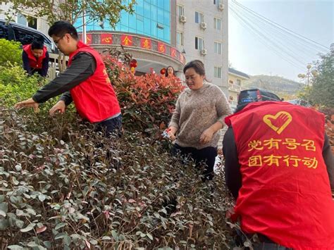 迎大雪节气 盼雪落无声