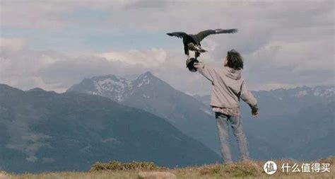 奥地利记录式电影：追鹰日记 讲诉了一个男孩和鹰共同成长的故事_手机新浪网