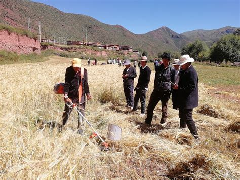 我所创新团队赴西藏贡觉县开展机械化科技扶贫