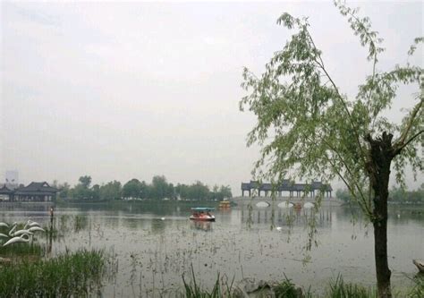 武汉沙湖公园风景高清图片下载-正版图片500823699-摄图网