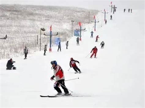 走进“十四冬”丨牙克石凤凰山景区：雪域之上的运动天堂-内蒙古经济网
