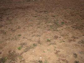种植男人的手在土壤里种树苗黄色的散景高清图片下载-正版图片307687547-摄图网