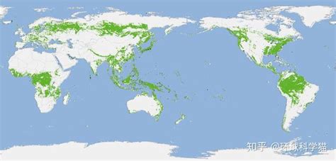 森林覆盖率：中国达22.96%，日本69%，为何我国做得还更出色？|森林|地球|森林覆盖率_新浪新闻