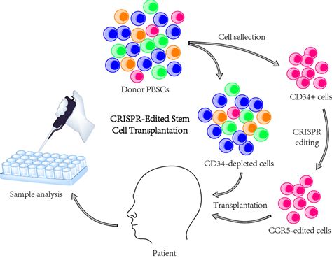 邦耀-基因编辑进展梳理 Part II 基于CRISPR-Cas9的技术应用篇(上)