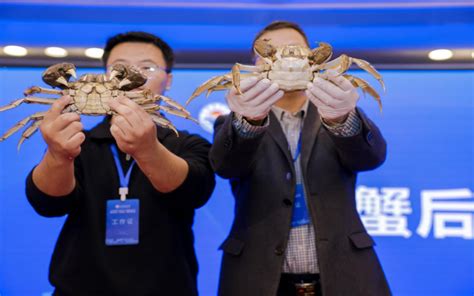 上海海洋大学第十一届蟹文化节暨2017年“王宝和杯”全国河蟹大赛举行_蟹类专题（大闸蟹专题）_水产养殖网