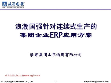 集团企业ERP应用方案_word文档在线阅读与下载_免费文档