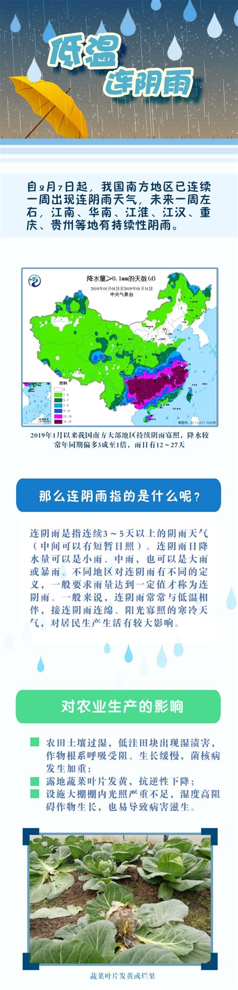 图解低温连阴雨-中国气象局政府门户网站