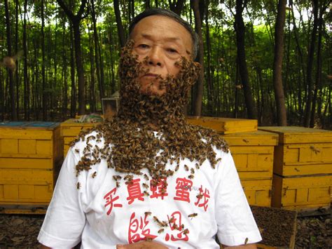 蜜蜂为什么要听蜂王的，蜜蜂为什么要保护蜂王 - 农敢网