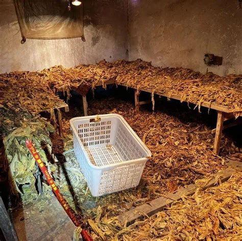 重庆一专攻中低档烟缺口的大型“地下黑烟厂”被端：案值1000万凤凰网川渝_凤凰网