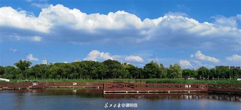 东西湖，蓝天白云下的“湿地花城”_武汉_新闻中心_长江网_cjn.cn