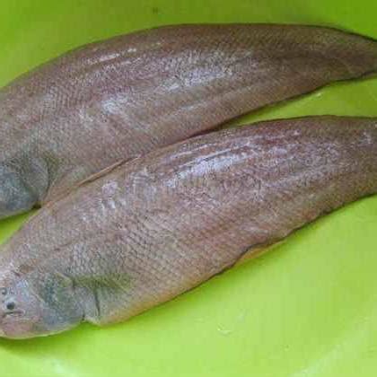舌尖上的美味——东海米鱼