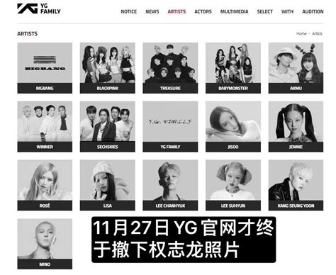 YG-权氏兄弟图片