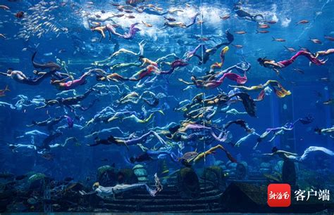 呼吸管游泳呼吸器换气浮训练装备加长自由水下潜水儿童成人造鱼鳃-阿里巴巴