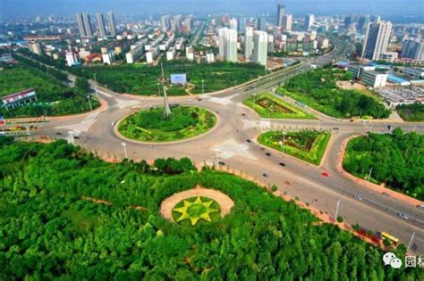 山东潍坊：重点实施这六大国土绿化工程！