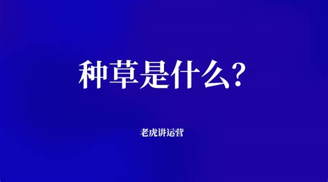 青年调查｜“虚假种草”乱象丛生，谁能给消费者一双“慧眼”？