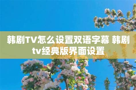 韩剧TV怎么设置双语字幕 韩剧tv经典版界面设置_特玩网