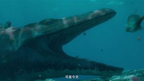史前海洋霸主，长达20米以鲸鱼为食，可以轻松咬下霸王龙的脑袋 - 360娱乐，你开心就好