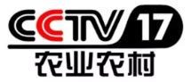 洞头的生态大黄鱼“游”到CCTV17农业农村频道-新闻中心-温州网