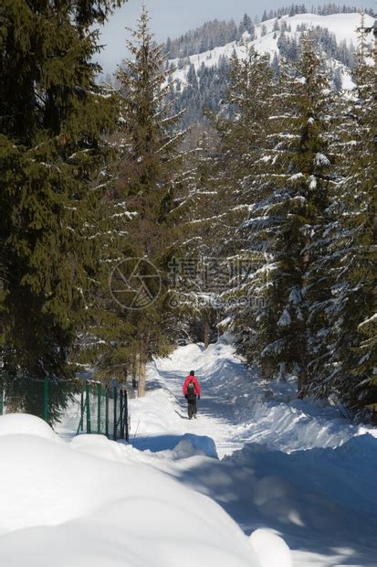 行走在雪线之上高清图片下载-正版图片500285532-摄图网