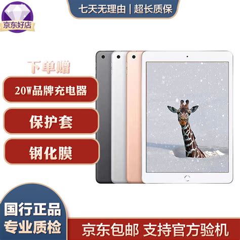 【二手99新】Apple iPad Pro 二手iPad 平板电脑 18款11/12.9寸 二手平板 99新 18款Pro11寸 256G ...