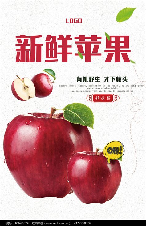 苹果水果促销海报海报模板下载-千库网