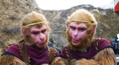 西游记中的四大神猴，通臂猿猴“最可怜”，赤尻马猴丑出一片天！