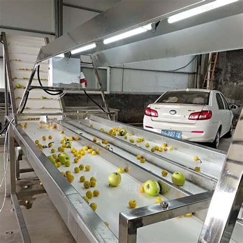 果蔬气泡清洗机果蔬加工设备-食品机械设备网