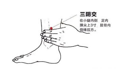 三阴交位置图图片