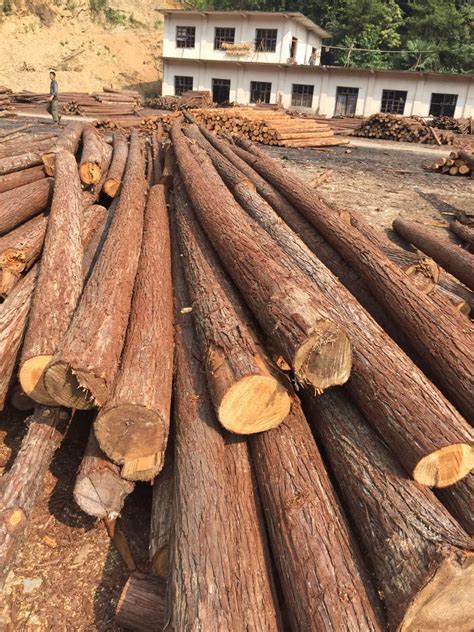 各种木材,装潢杉木指接板材,青岛莱西大鹏木业有限公司