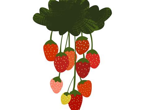 草莓树PNG图片素材下载_草莓PNG_熊猫办公