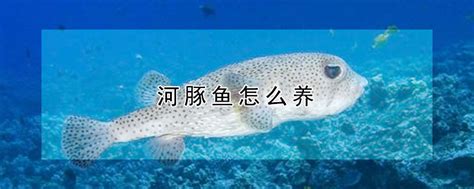 大连天正实业有限公司——中国河豚鱼全产业链_World Seafood Shanghai Exhibition (SIFSE) 2024