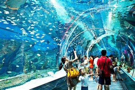 2023武汉东湖海洋世界游玩攻略,设施陈旧，鱼缸都可以看到很...【去哪儿攻略】