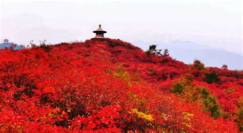 【桐柏山区自然风光摄影图片】风光摄影_xuzongxian_太平洋电脑网摄影部落