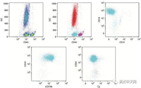 按WHO分类，17种常见急性白血病免疫分型典型流式图谱_细胞