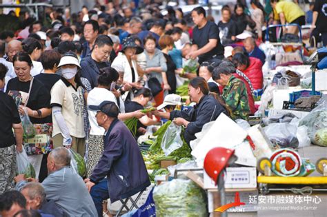 新春走基层｜冰城早市人气旺 “烟火气”升腾