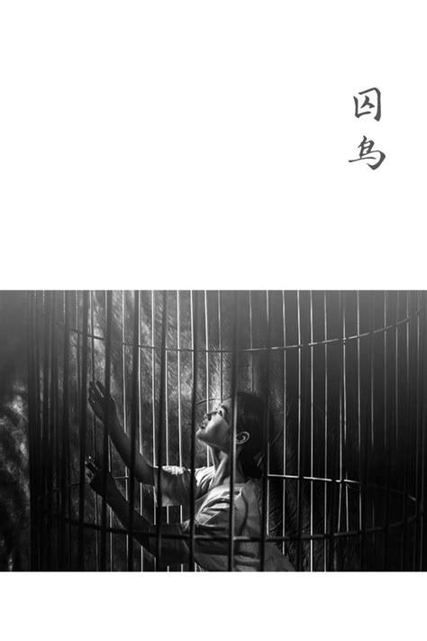 囚鸟-原版双手简谱预览1-钢琴谱文件（五线谱、双手简谱、数字谱、Midi、PDF）免费下载