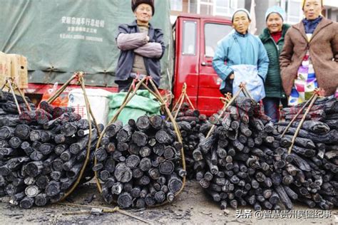 高温炭、中温炭、低温炭到底有何不同，如何区分?-济源润万家农业科技有限公司