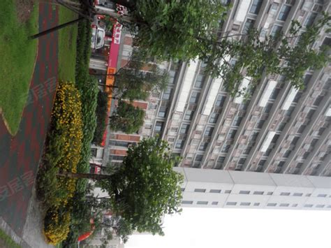 上海青年城,沪松公路1519弄-上海上海青年城二手房、租房-上海安居客