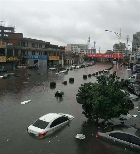 茂名保险业积极应对暴雨灾害 已接报损金额超3000万元_中国保险报网