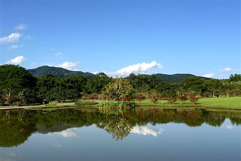 中科院西双版纳热带植物园，夏日灿烂星河萤火之旅_人们