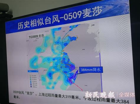 “烟花”来了！江浙沪直面台风侵袭，上海地铁多条线路停运！_手机新浪网