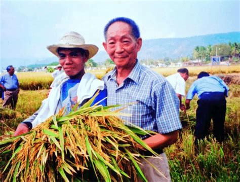 杂交水稻之父是谁(91岁袁隆平去世，5分钟回顾“杂交水稻之父”的一生) | 人物集