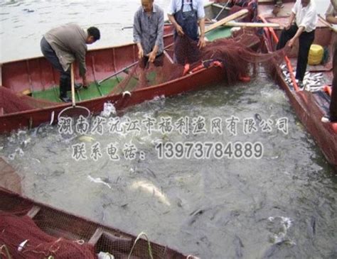 厂家批发捕渔网 渔网价格 尼龙三层粘网定制规格-阿里巴巴