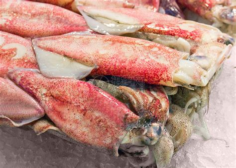 鱿鱼营养养殖午餐水产钓鱼餐厅烹饪海鲜市场摄影高清图片下载-正版图片321491619-摄图网