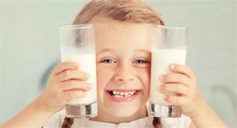 复原乳和纯牛奶区别 孩子喝复原奶健康吗 _八宝网