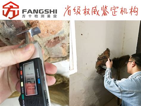 阳江市地震局开展地震监测站点巡检工作