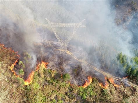 山火突发，玉林供电局有序应对保电网稳定 - 中国电力网