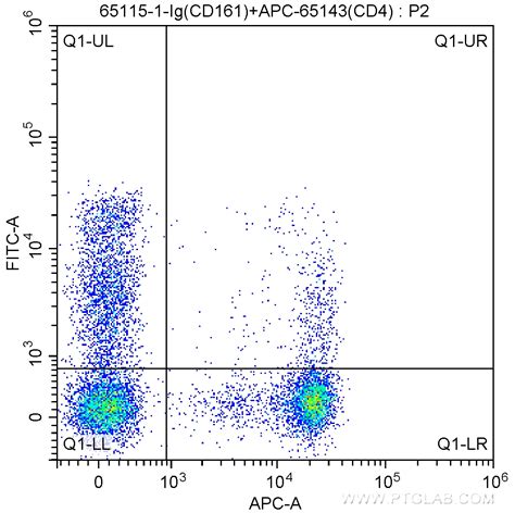 NK1.1 (CD161) Antibody CL647-65138 | Proteintech